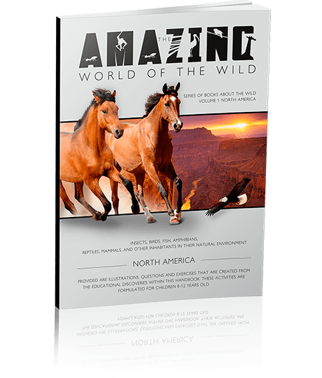 The cover of Amazing World of The Wild book